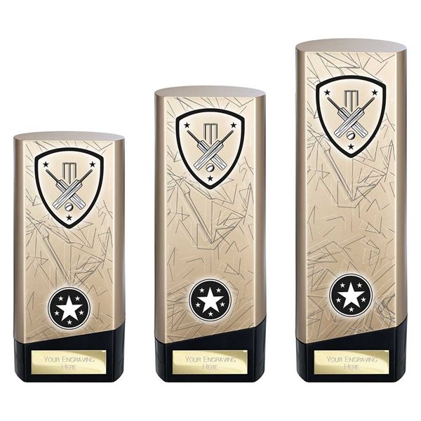 Gold Prime Heavyweight Cricket Award PM25442