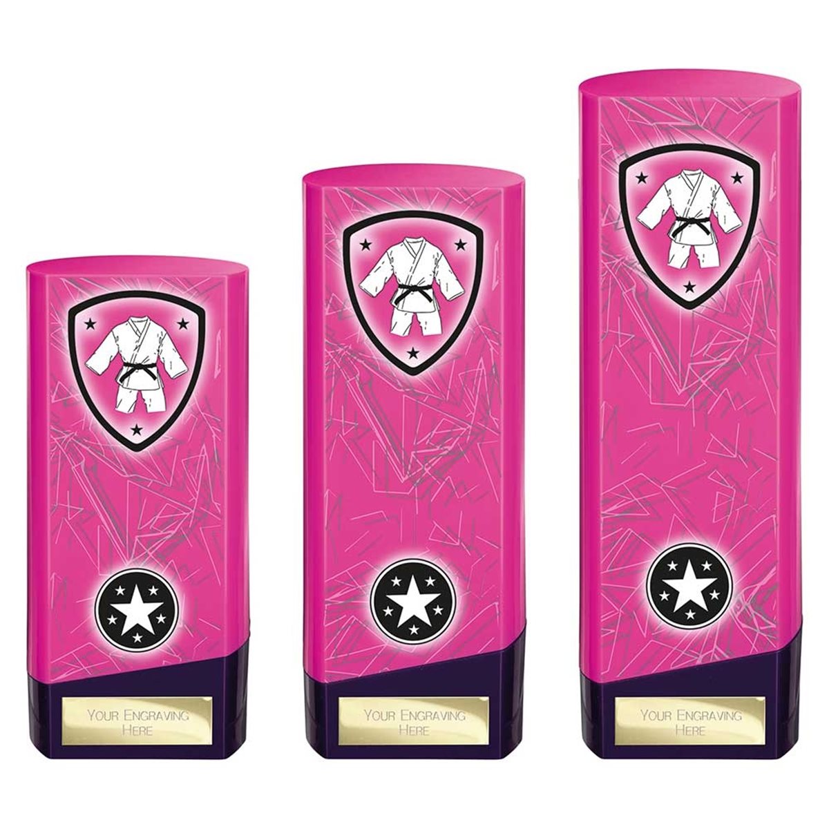 Pink Prime Heavyweight Martial Arts Awards PX25446