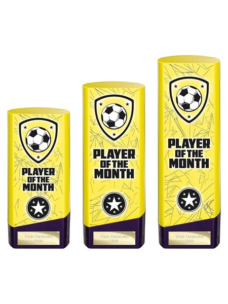 Player of the Month Football Trophies