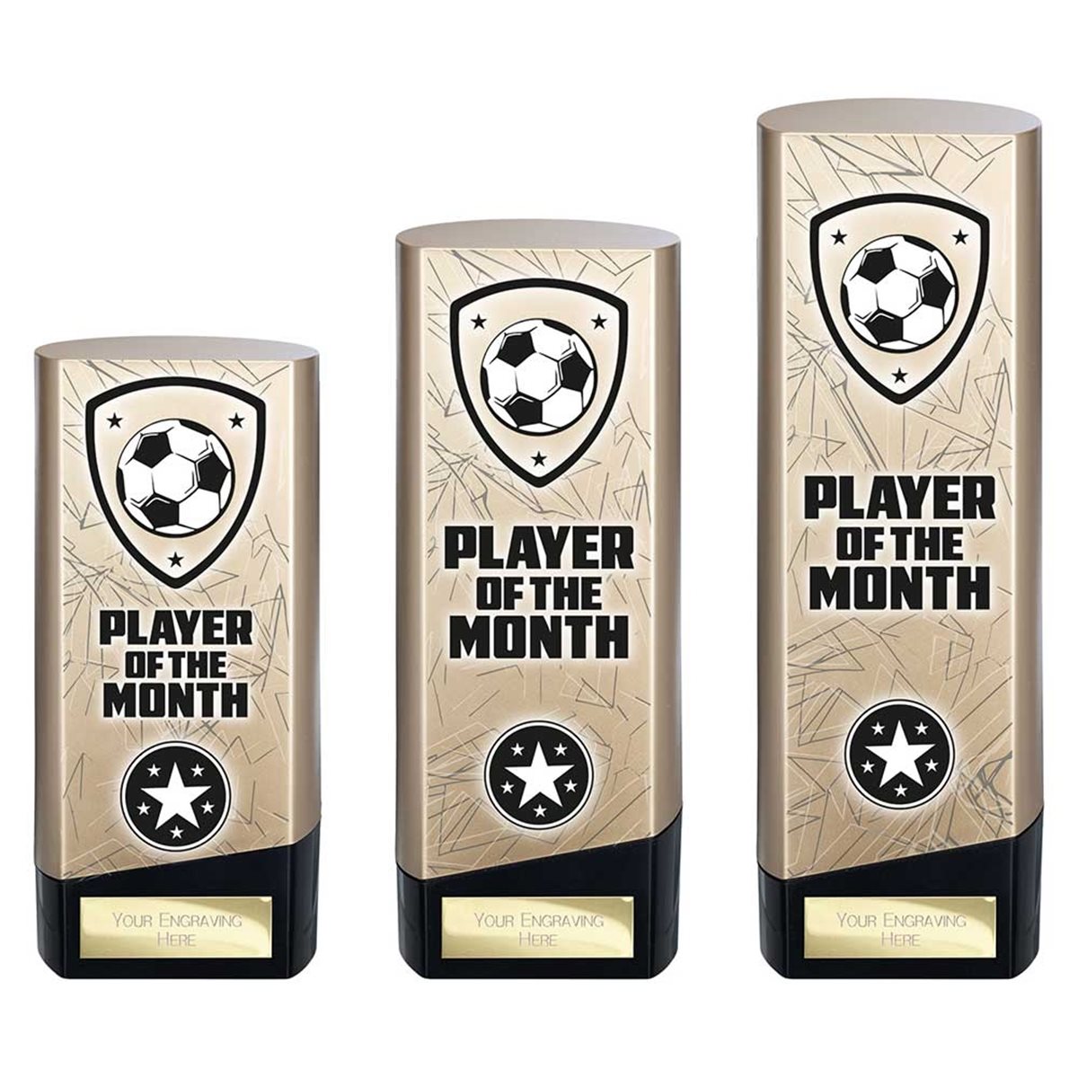 Gold Prime Heavyweight Player of Month PM25440