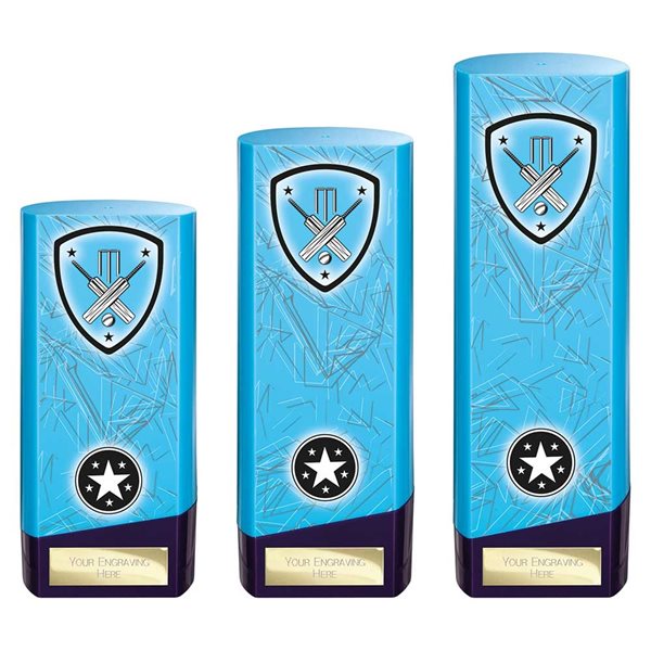 Blue Prime Heavyweight Cricket Award PV25442