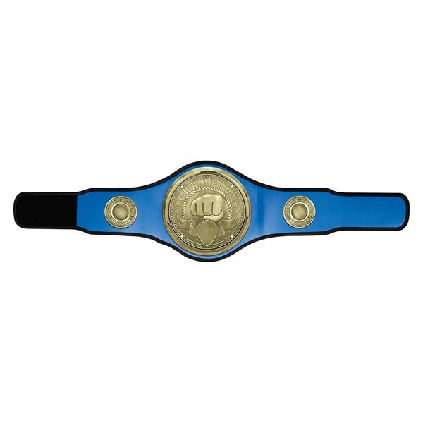 Championship Martial Arts Belt BT25484