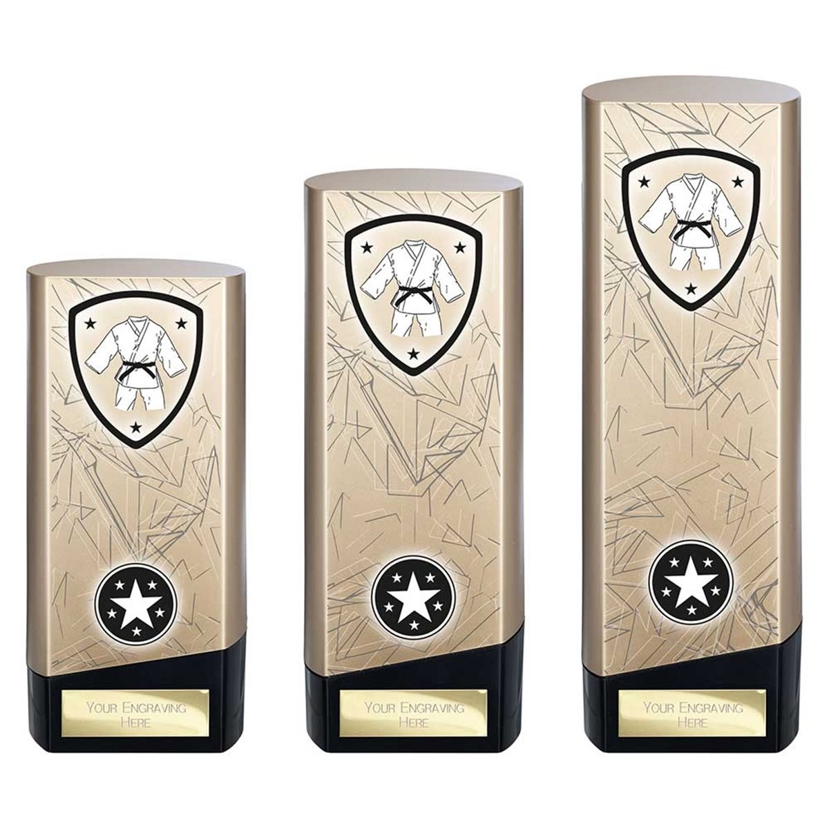 Gold Prime Heavyweight Martial Arts Award PM25446