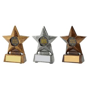 Resin Star Award T.9241