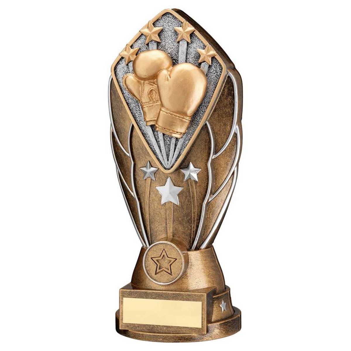 Boxing Trophy JR10-F1007