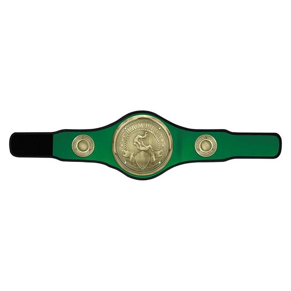 Championship Judo/Jujitsu Belt BT25483