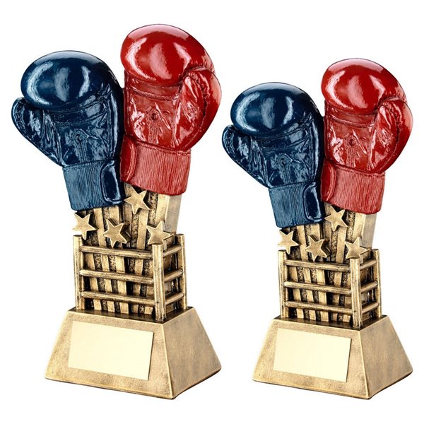 Boxing Glove Star Resin Award TD.RF640