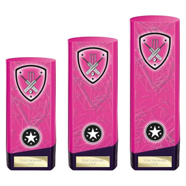 Pink Prime Heavyweight Cricket Award PX25442