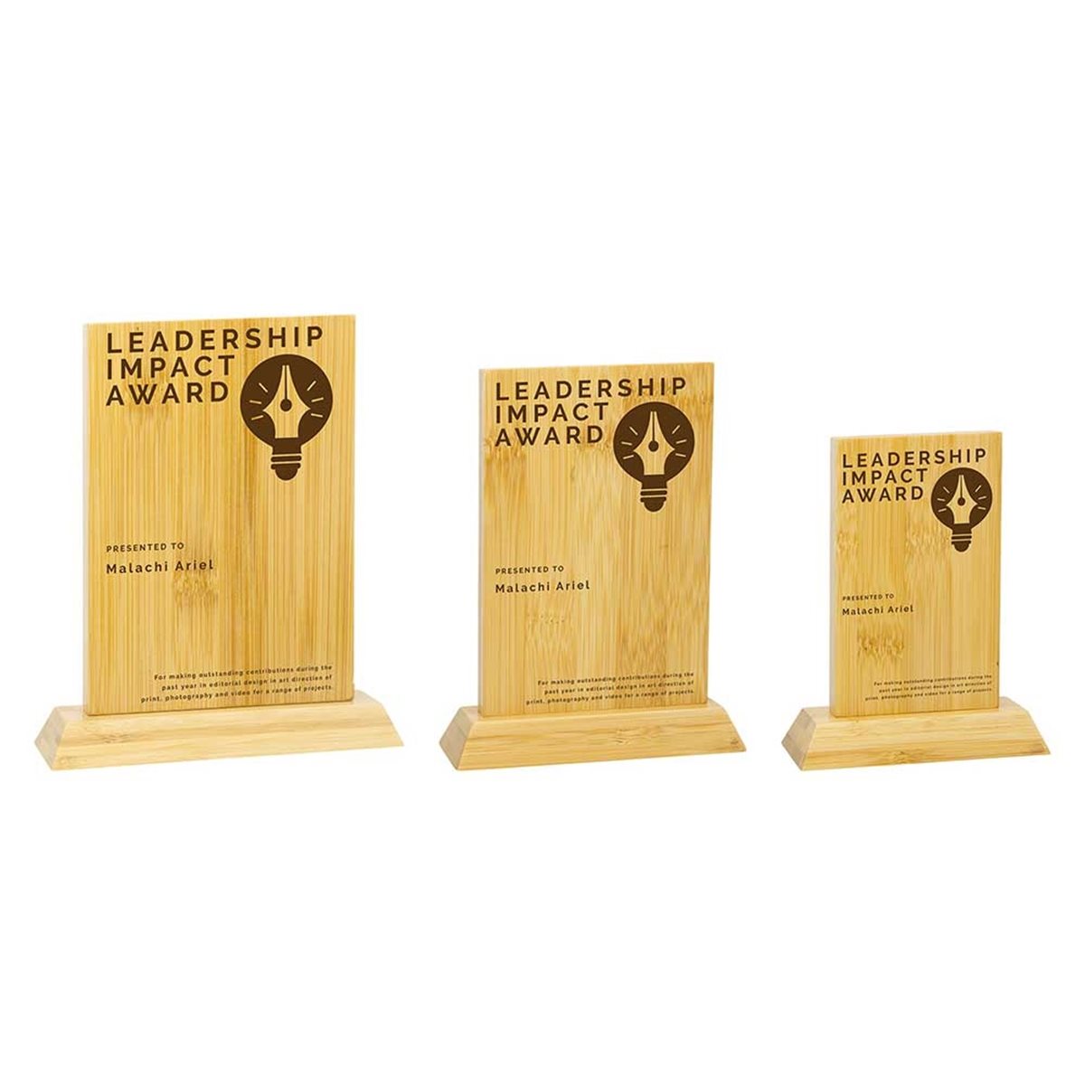 Bamboo Rectangular Award BB25313