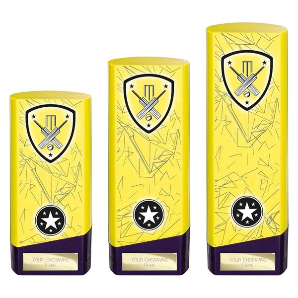 Yellow Prime Heavyweight Cricket Award PQ25442