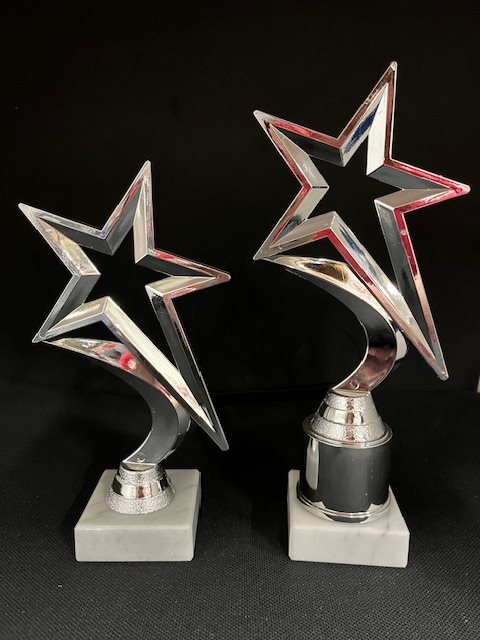 Silver Star Award CL1107