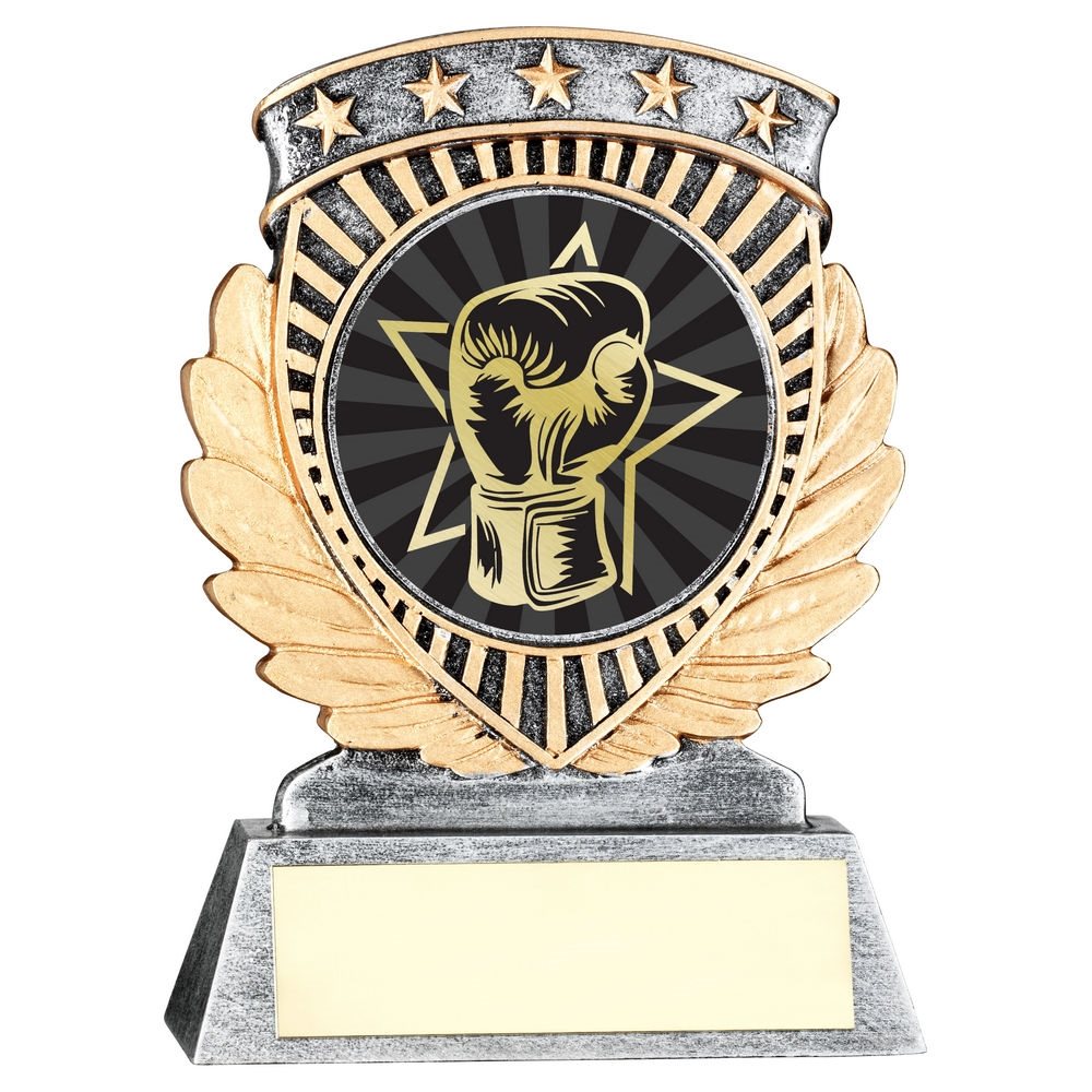 Boxing 5 Star Award JR10-07RF650
