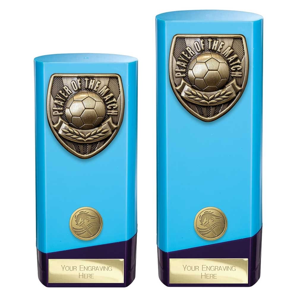 Blue and Purple Prime Player of the Match Award PX25113