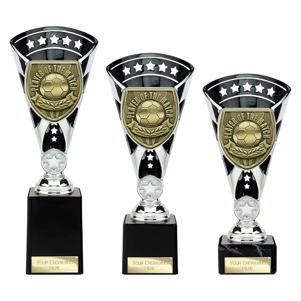 Player Of The Match Cobra Star Award TR25113