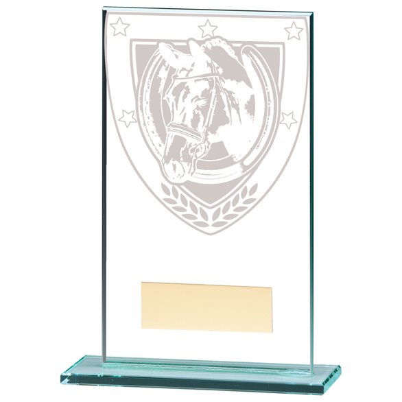 Millennium Equestrian Glass Award CR20375