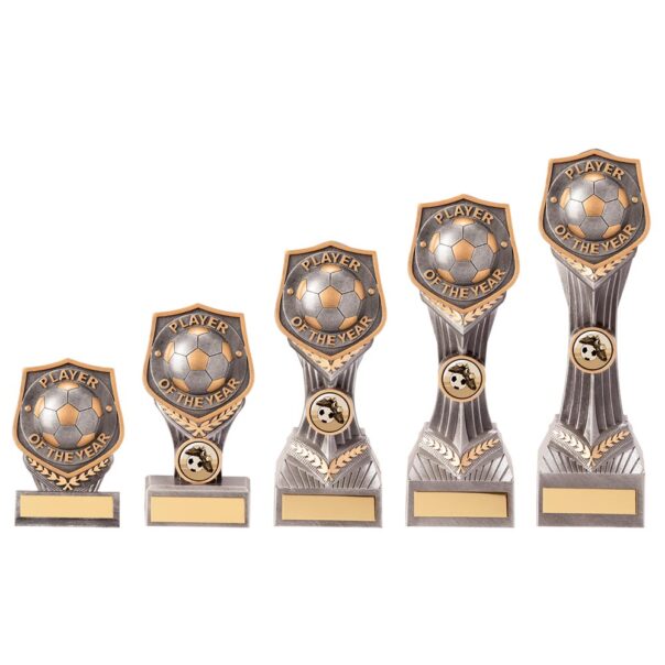 Falcon Player Of The Year Football Trophy PA20046