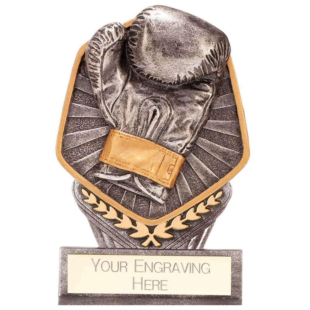 Falcon Silver Boxing Glove Trophy PA22052 – PA22052A