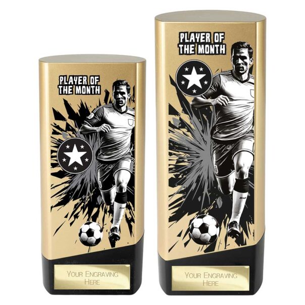 Gold and Black Prime Player of the Month Award PA26137