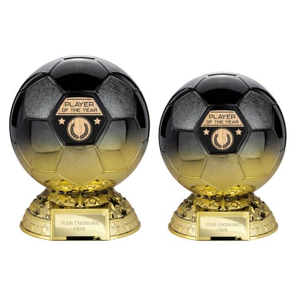 Elite Football Player Of The Year Football Trophy PM25401